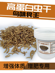 Bird Flavor King High Protein Dried Insects Starling Myna Parrot Mealworm Dried Mealworm Bird Snack Food Nutrition