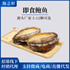 [sea cucumber Manufactor wholesale live broadcast wechat Business Electricity supplier On behalf of Fresh precooked and ready to be eaten Abalone Freezing