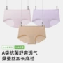 夏季女童小学生抑菌pp