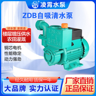 �V�|����1ZDB-35/45/65��ˮ�ܵ�����ѭ�h�ó�ˮ�ü���������220V