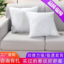 工厂直销PP棉长方形正方形抱枕芯批发简约沙发靠垫芯家居抱枕内胆