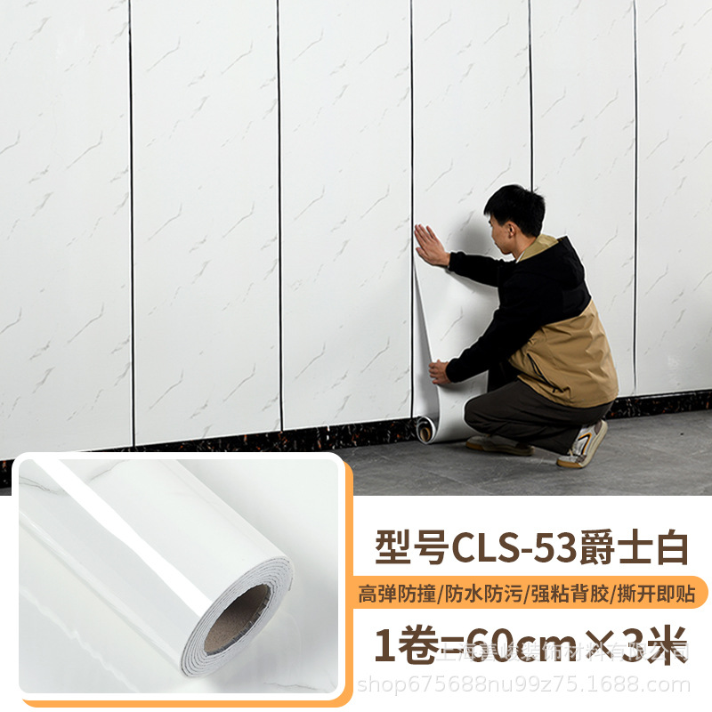 모델 CLS-53 재즈 화이트