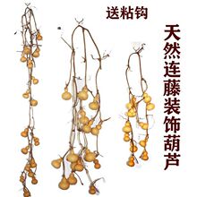 ��Ȼ�B���B֦�b������ְѼ������^�ҾӒ���Lˮ�젝С���J