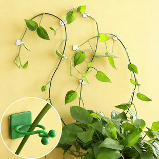 �G�}�̶�������ֲ��Gֲ�������������h늾��̶����������͹̶��A