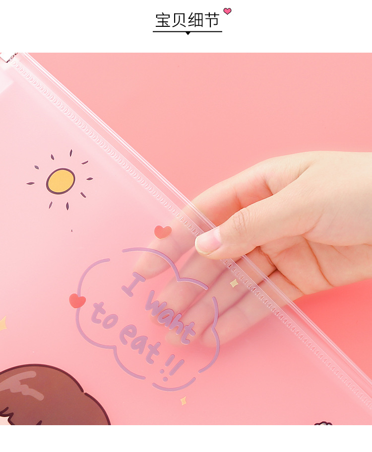 Cute Transparent Large Capacity Portable File Bag
