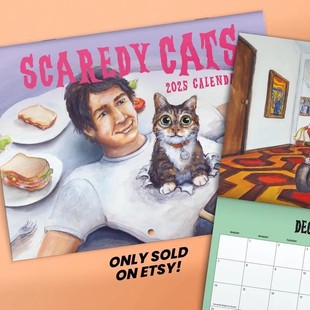 Amazon's new scary Cat Calendar Wall Calendar timid cat calendar atmosphere calendar