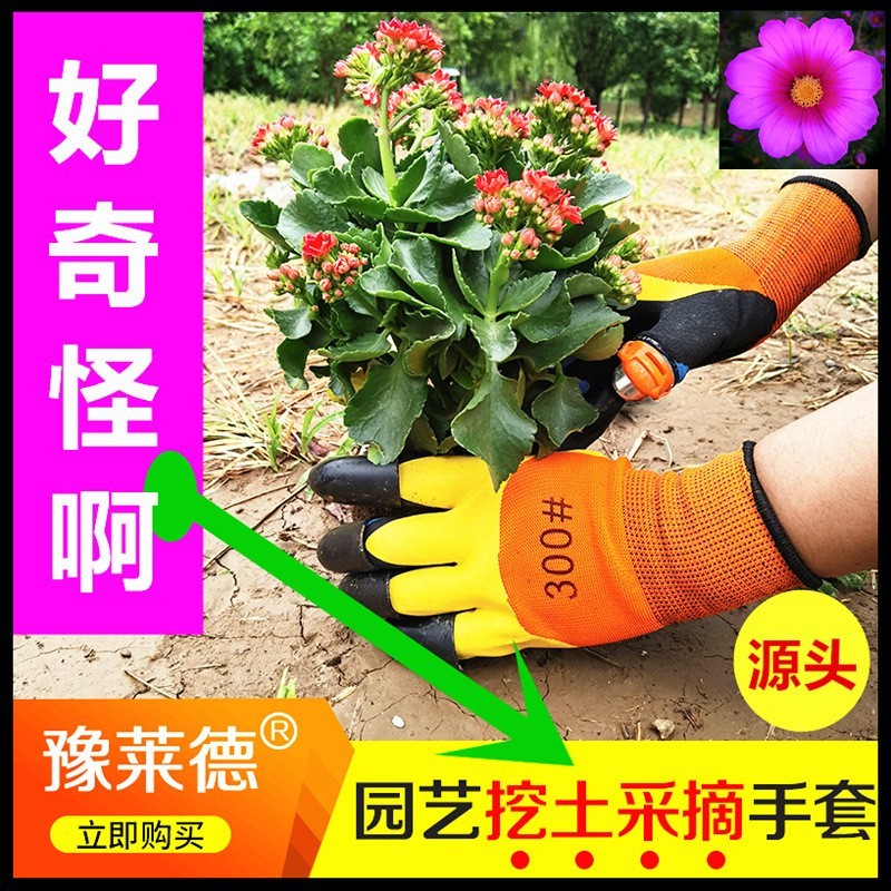 厂家亚马逊爆款 爪子园艺手套花园种花乳胶户外种植 采摘挖土手套