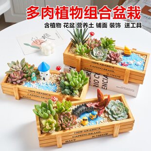 ����ֲ��M�����Ժ��脓��diyƴ�P��������ֲ���҃ȾGֲ����