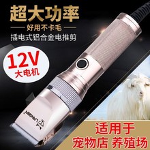 宠物电推剪长毛兔绒山羊专用剪毛电推子大功率电动剪狗狗马剃毛刀