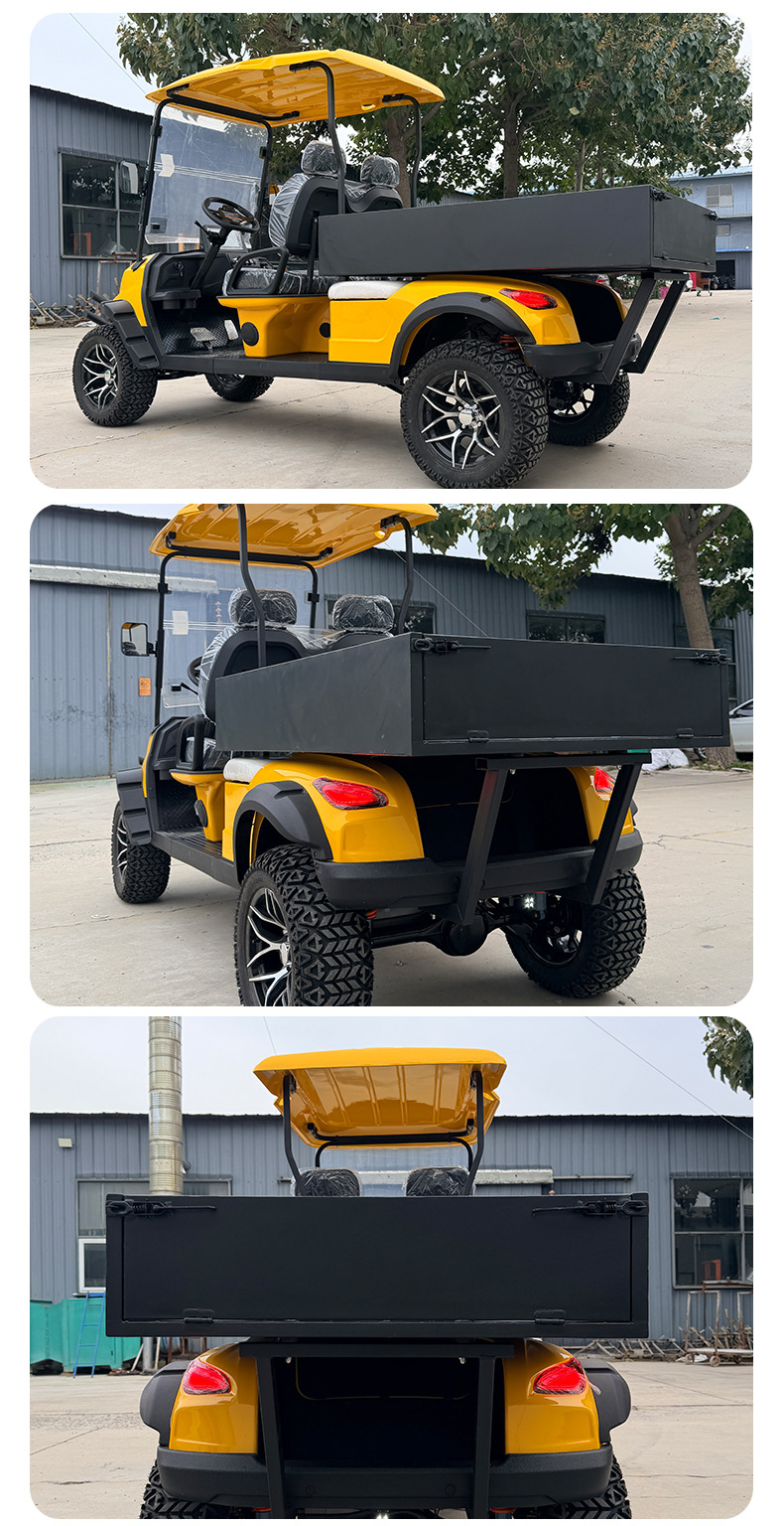 Electric Golf Cart 2 Seats with Cargo Bucket Tourist Attraction Hotel Park Shuttle Off-Road Golf Cart