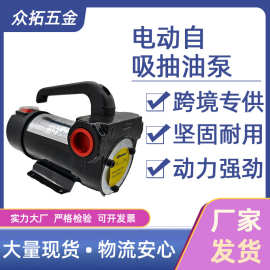12v24v220v200w大功率电动便携式抽油泵
