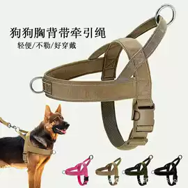 运动挎包;狗狗牵引;托特包
