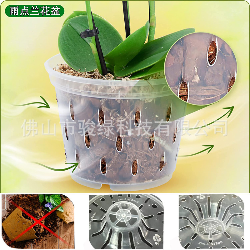 胡蝶蘭専用植木鉢透明プラスチック硬植杯文心蘭石gokコントロール鉢吊り下げ植木鉢クロスボーダー|undefined