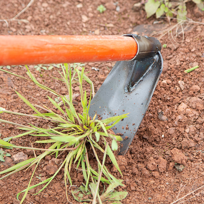 农具锰钢锄头除草种菜家用全钢带柄翻地松土锄草神器农用工具大全
