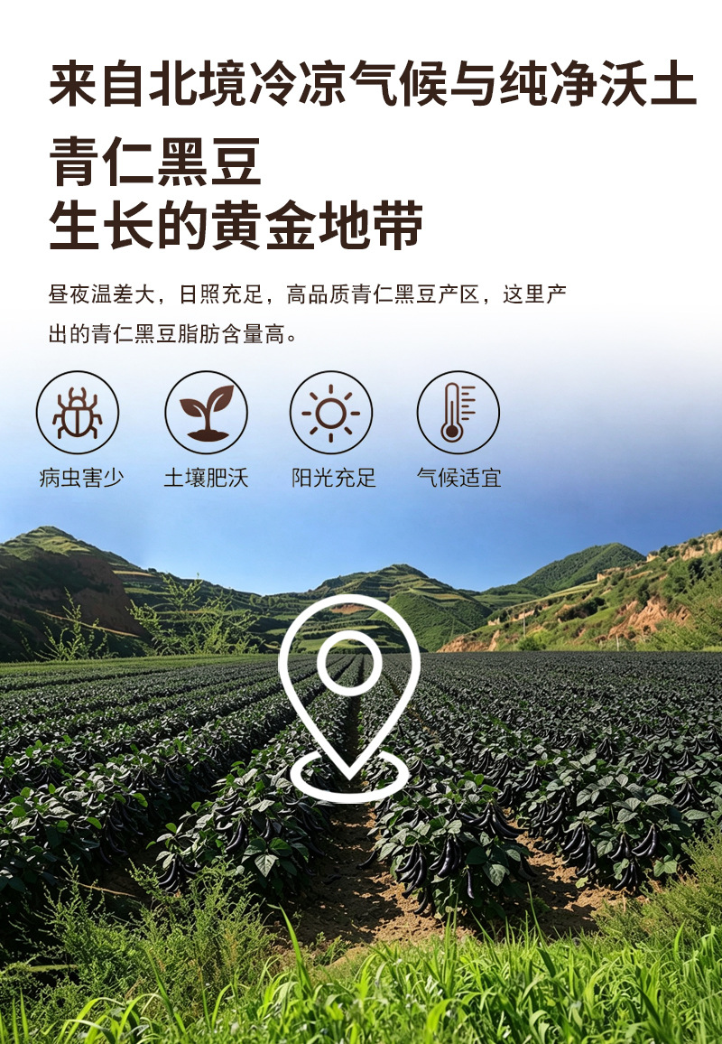 Roasted Green Kernel Black Bean Powder Ingredient Hei Dou Glycine max Ready to Eat Bulk Grain preparation