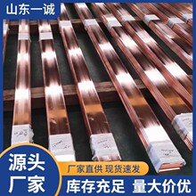 批发T2紫铜排 铜母线 接地用镀锡纯铜排 25*4 30*4 50*5 80*6mm