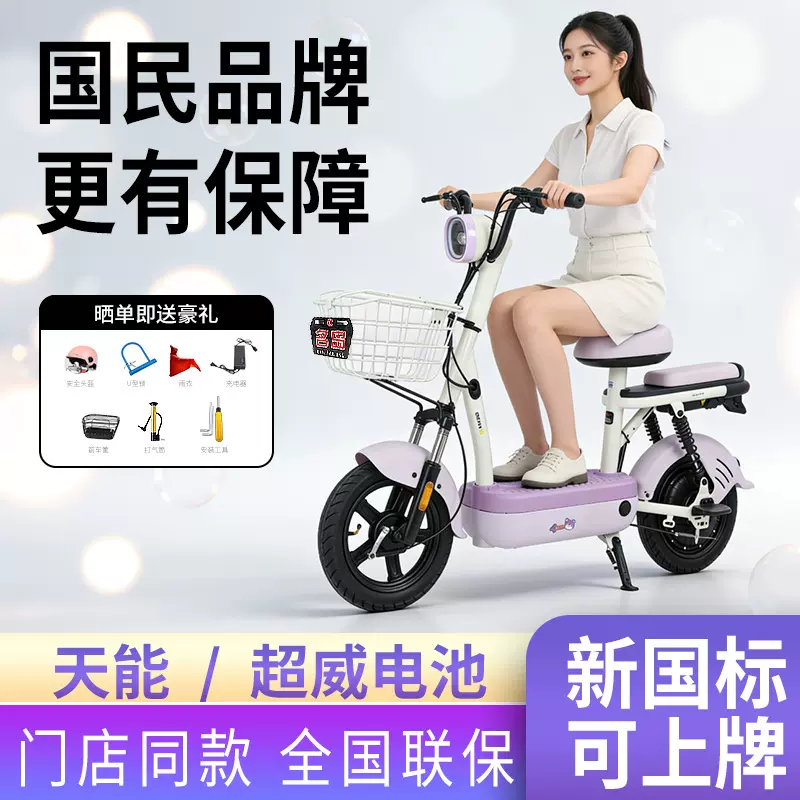名岛工厂批发跨境电动自行车新国标代步车成人两轮电瓶车上牌T06