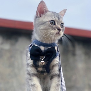 Cat Traction Rope, Anti-Breakaway When Going Out, Adjustable Cat Walking Rope, Breathable Korean Style Pet Leash