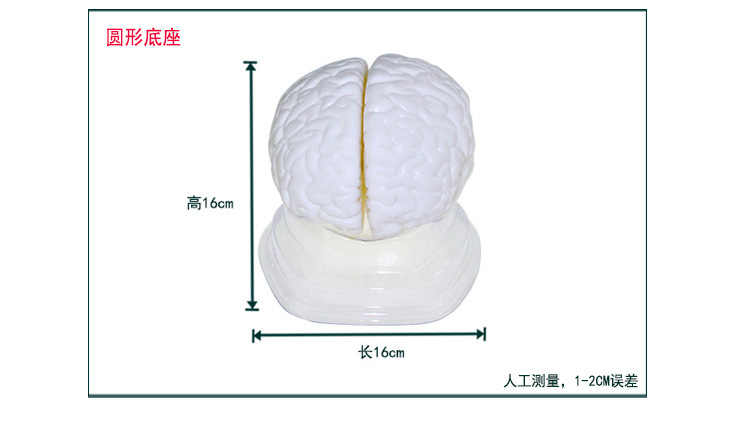 O1CN01208OXB2Kk6Xk9SQKA_!!3578