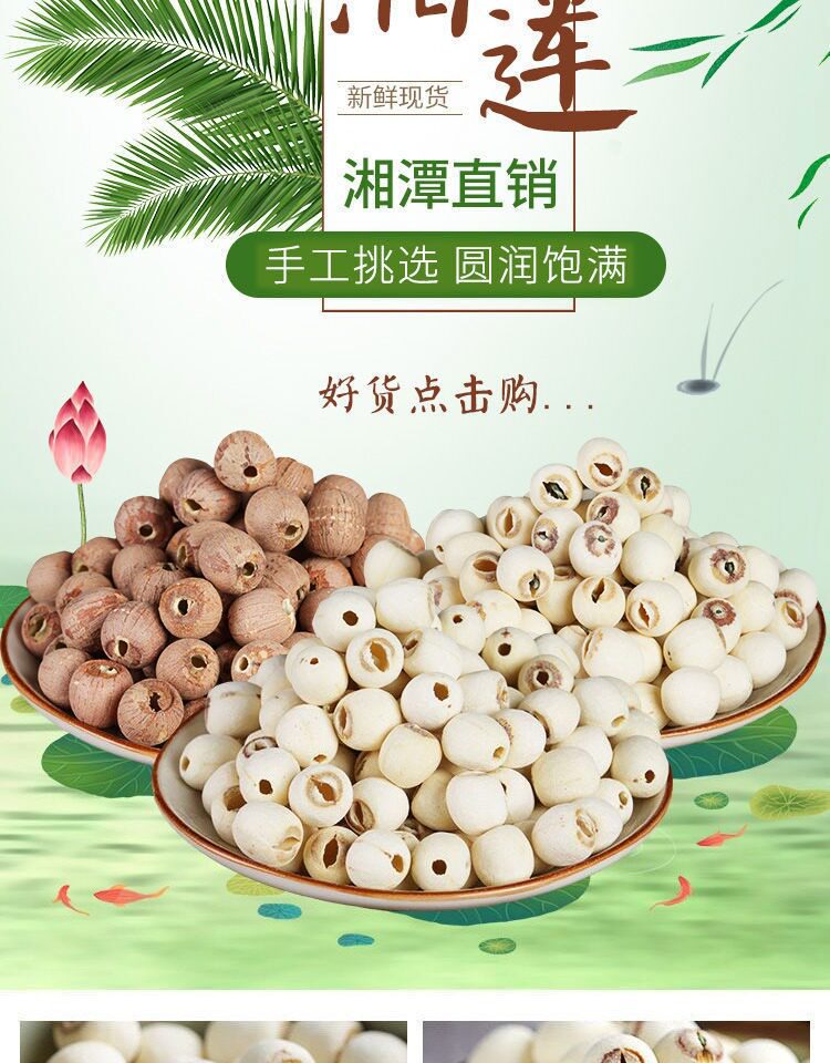 Premium White Lotus Seeds with Core Bai Lian Zi 500g Dried Xiangtan Lotus Seed Kernels for Soup and Tea overview