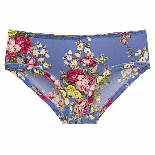 Sweet girly lace underwear women's printed Japanese cute student thin ice silk comfortable pure cotton crotch briefs