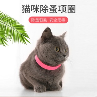 ���������x�Ȧ؈����������iȦ������x���x�Ȧ���l