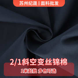 2/1斜纹空变丝锦棉面料150g休闲服夹克棉服羽绒服面料批发供应