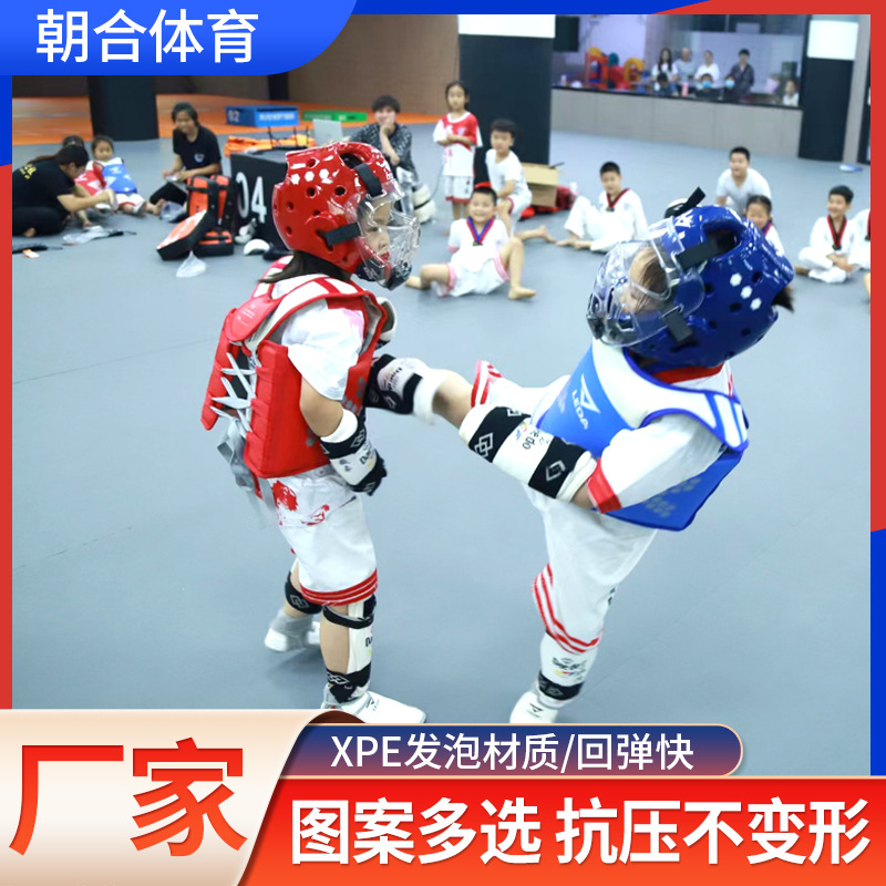 Fighting Taekwondo Boxing Xpe Martial Arts Roll Mat Sanda Wrestling Sports Floor Mat Roll Mat Shock-Absorbing Soft Non-Slip