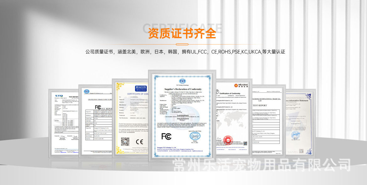 专利