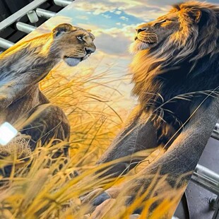 ����ʯ����UV��´���ʯ�b屳��������ƽ���o����