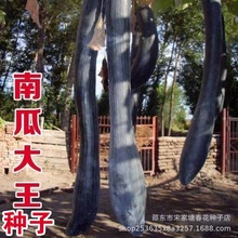 �Ϲϴ����N�������Ϻ����L�Ϲ��߲��ļ�����ͥԺ�߲˷N��