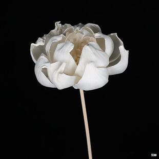 8cm�ٗl��޹ĵ��ͨ�ݻ���Ⱦɫ��׼Ҿ��bU�㻨����ɻ�