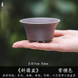 多肉花盆掌中宝菖蒲盆植物小桩微型盆栽盆景圆形加厚树脂花盆批发