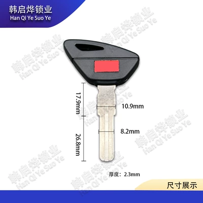 Suitable for Aprilia 1000 Rsv4 Motorcycle Key