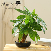 假花发财树绿植盆景人造植物厂家直供仿真花创意家居摆件仿真盆栽