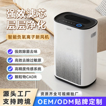 ����ؓ�x�ӿ՚������OEM��ë�������ȩ��ζ��ζ�҃�HEPA filter