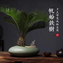 �F������ֲ���҃Ⱥ��B����������������Сֲ������U���K�FС�辰