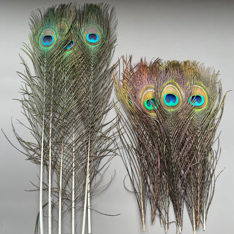 Natural Peacock Feathers, Carefully Selected for Large-Eyed Peacocks, Home Vase Decorations, Stage Costume Accessories, Direct from the Source Factory