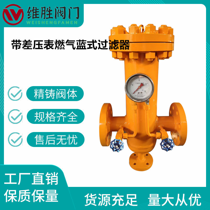 厂家供应WCB铸钢天然气蓝式过滤器RGL-16C 带差压表燃气过滤器