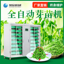 旭眾芽苗菜機商用全自動恆溫控水智能生發豌豆苗蘿卜蒜苗機芽苗機