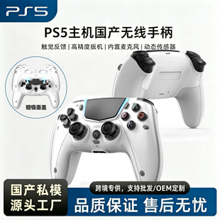 �������S PS5�o���{���Α��ֱ������暤���S�w�����ӿ羳���Q���l