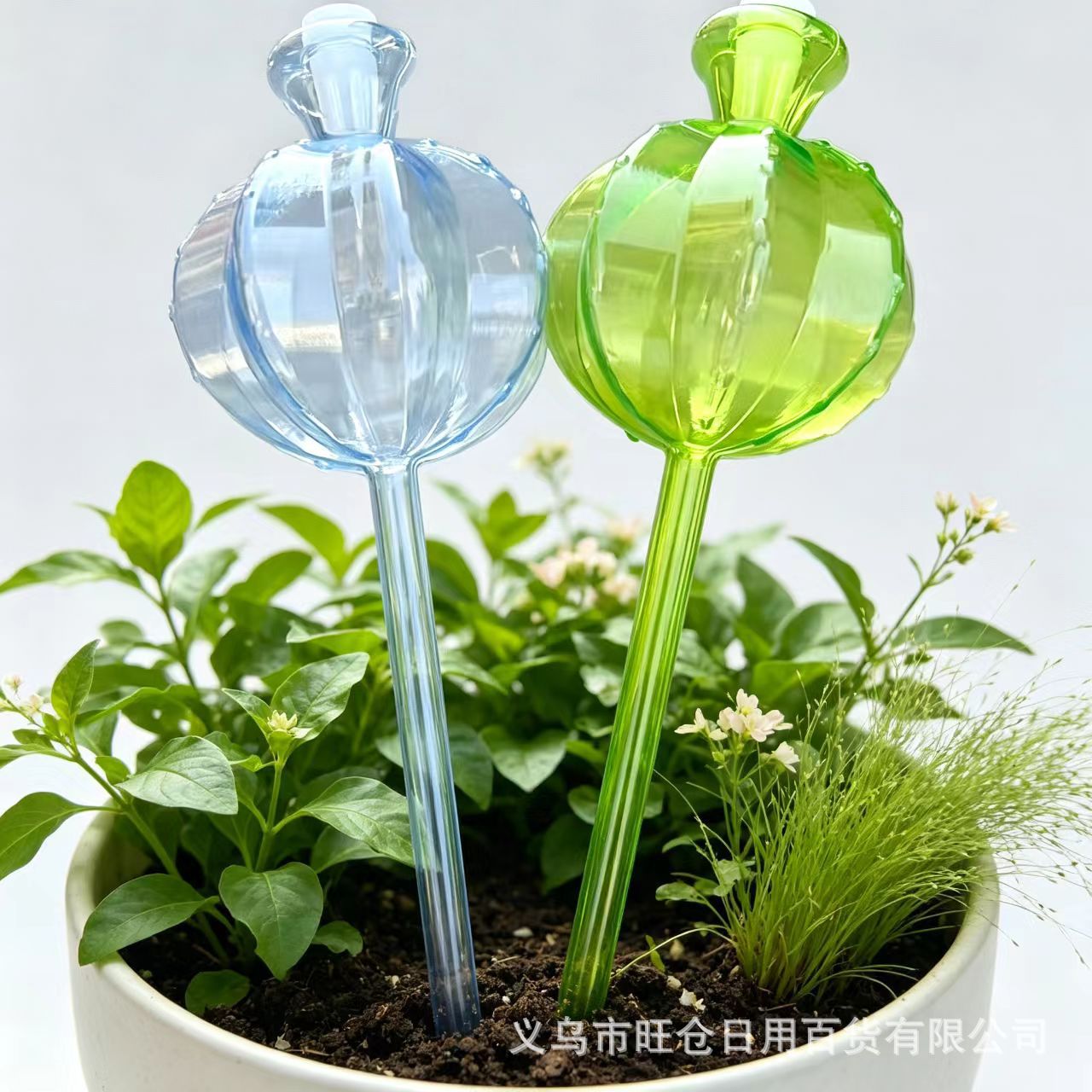 Plastic Cactus Watering Device for Lazy People to Grow Flowers, Seepage Drip Irrigation, Household Green Plant Potted Automatic Watering Device for Gardeners