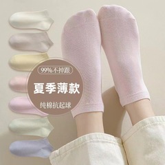 女士淺口短襪不掉跟透氣吸汗薄款短襪全棉純色短筒襪諸暨襪業批發