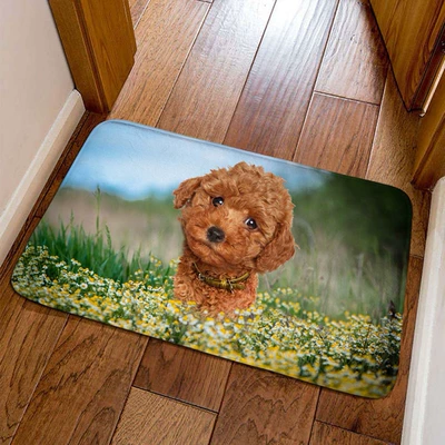 Avtomobil döşəmə paspasları — Cross-border cute pet cat decorative floor - puppy-5-4060cm-crystal-velvet