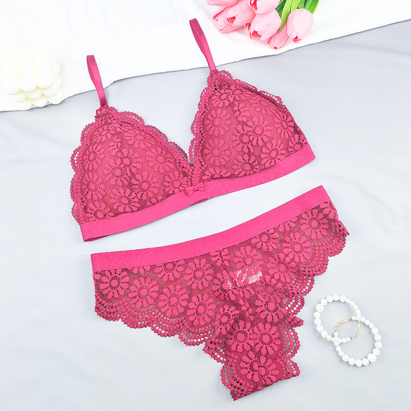 Europa y América encaje sexy copa triangular francesa cinturón hermosa ropa interior de espalda simple ligera sin anillo de acero conjunto de sujetador de pecho