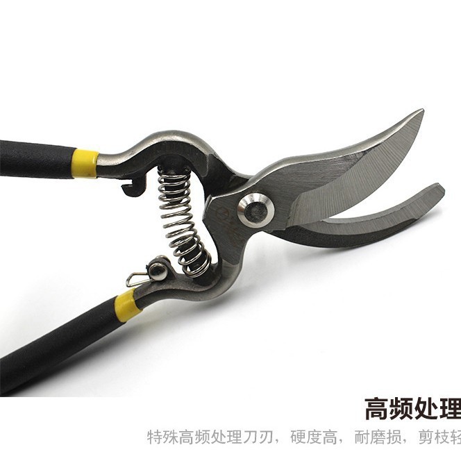 8寸园艺园林剪果枝剪花剪树枝园林工具剪刀修剪果树果树修剪剪