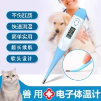 Đồng hồ đo nhiệt độ thú cưng-1688 tiêu thụ điện năng thấp và tuổi thọ pin dài