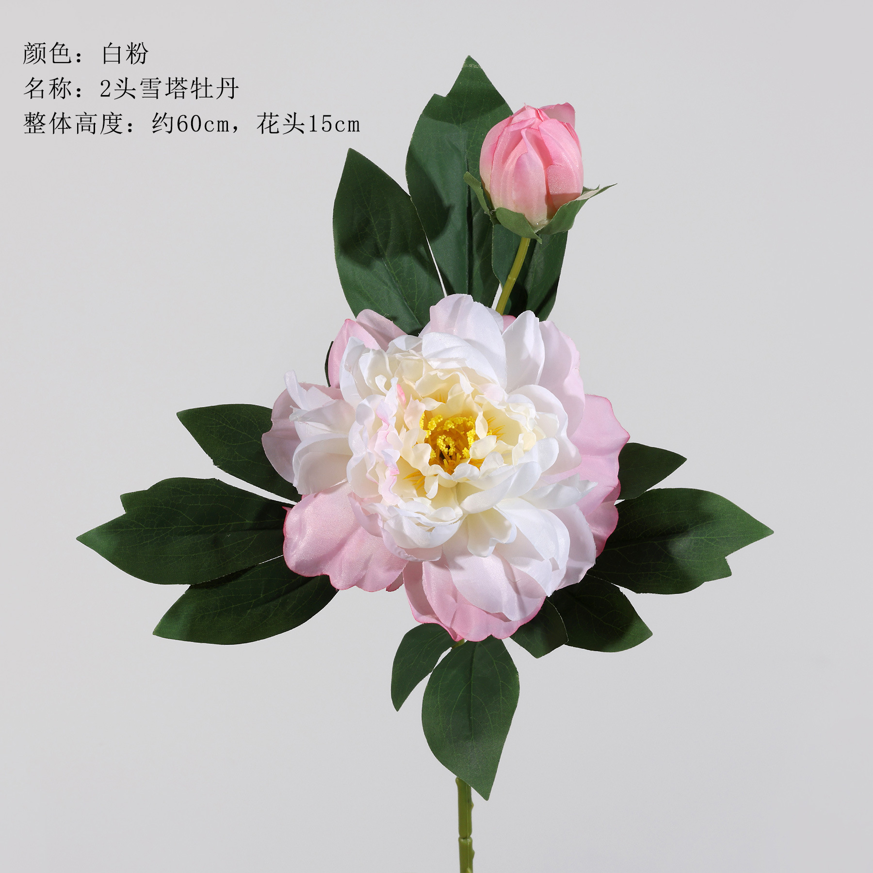 스노우타워모란 2개 - 백색분말