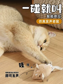 狗狗窝/笼/垫;猫猫窝/笼/垫;猫猫服饰