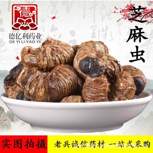 �ϱ��\�����l֥���x��ș�� ���x ���� ֧�֙z�y ��؛�o�� ���l